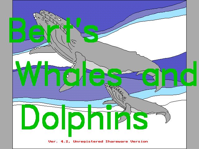 Bert's Whales and Dolphins