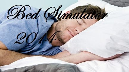 Bed Simulator 2014