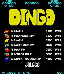 Dingo Dingo