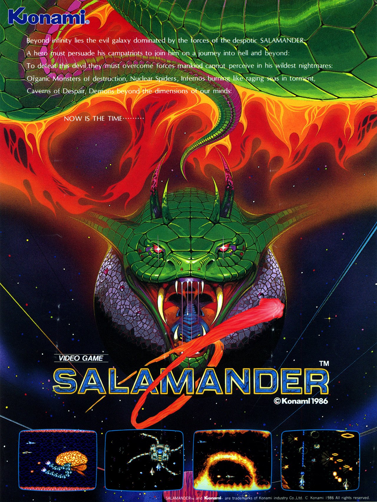Salamander Salamander