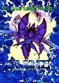 Act-Fancer - Cybernetick Hyper Weapon
