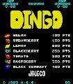 Dingo