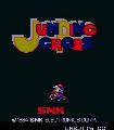 Jumping Cross