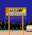 The Big Pro Wrestling!