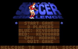 Final Soccer Challenge