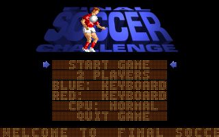 Final Soccer Challenge Final Soccer Challenge