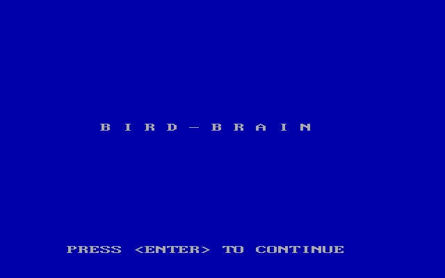 Bird Brain Bird Brain
