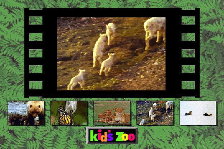 Kid's Zoo: A Baby Animal Adventure