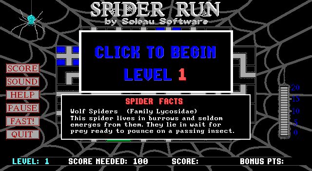 Spider Run