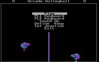 Arcade Volleyball Arcade Volleyball