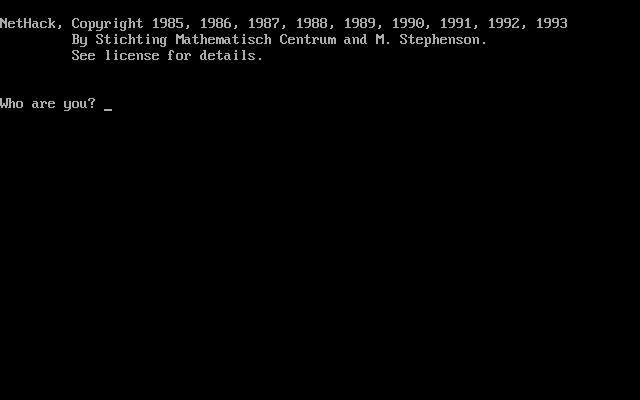 NetHack-- NetHack--