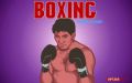 Simulador de Boxeo