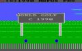 World Golf 2