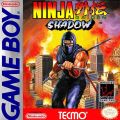 Ninja Gaiden Shadow