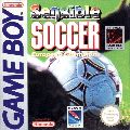 Sensible Soccer: European Champions