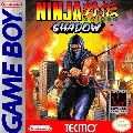 Ninja Gaiden Shadow
