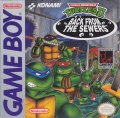 Teenage Mutant Ninja Turtles II: Back From the Sewers