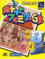 Pocket Family GB