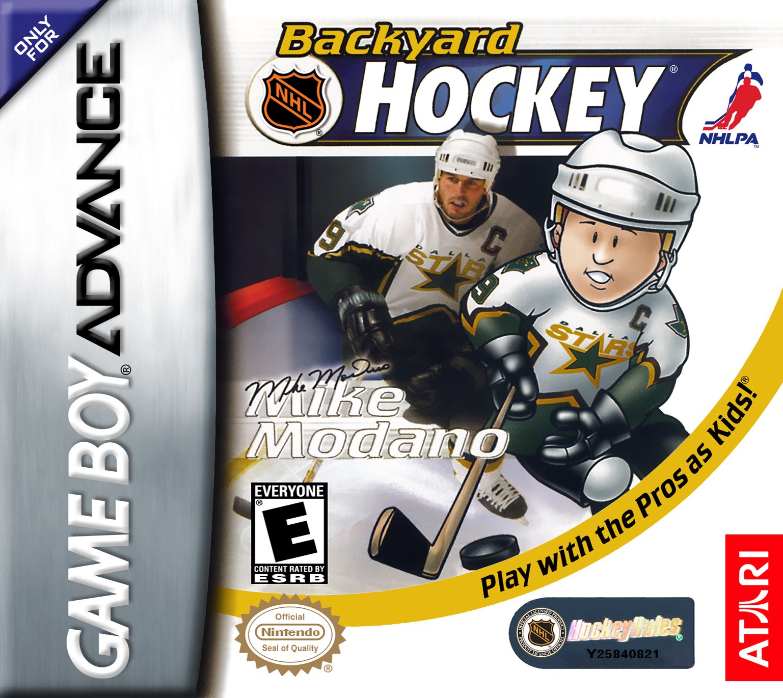 Backyard Hockey Backyard Hockey