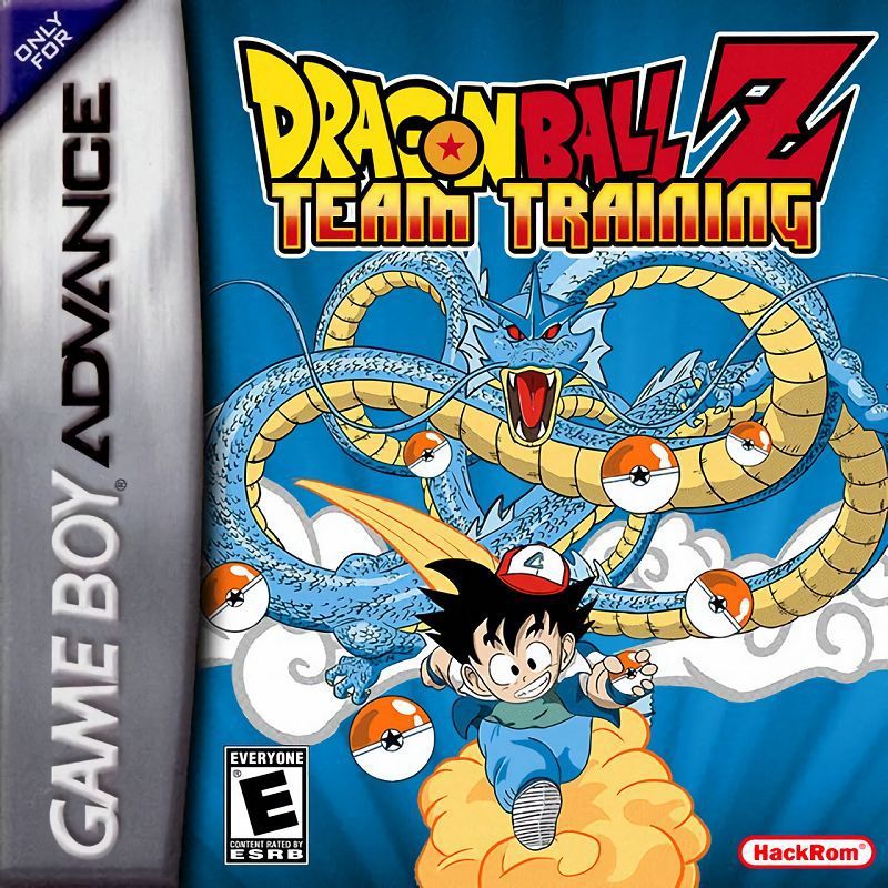 Dragon Ball Z: Team Training
