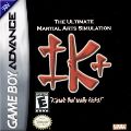 International Karate +