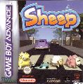 Sheep