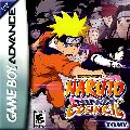 Naruto: Ninja Council