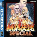 Garou Densetsu Special