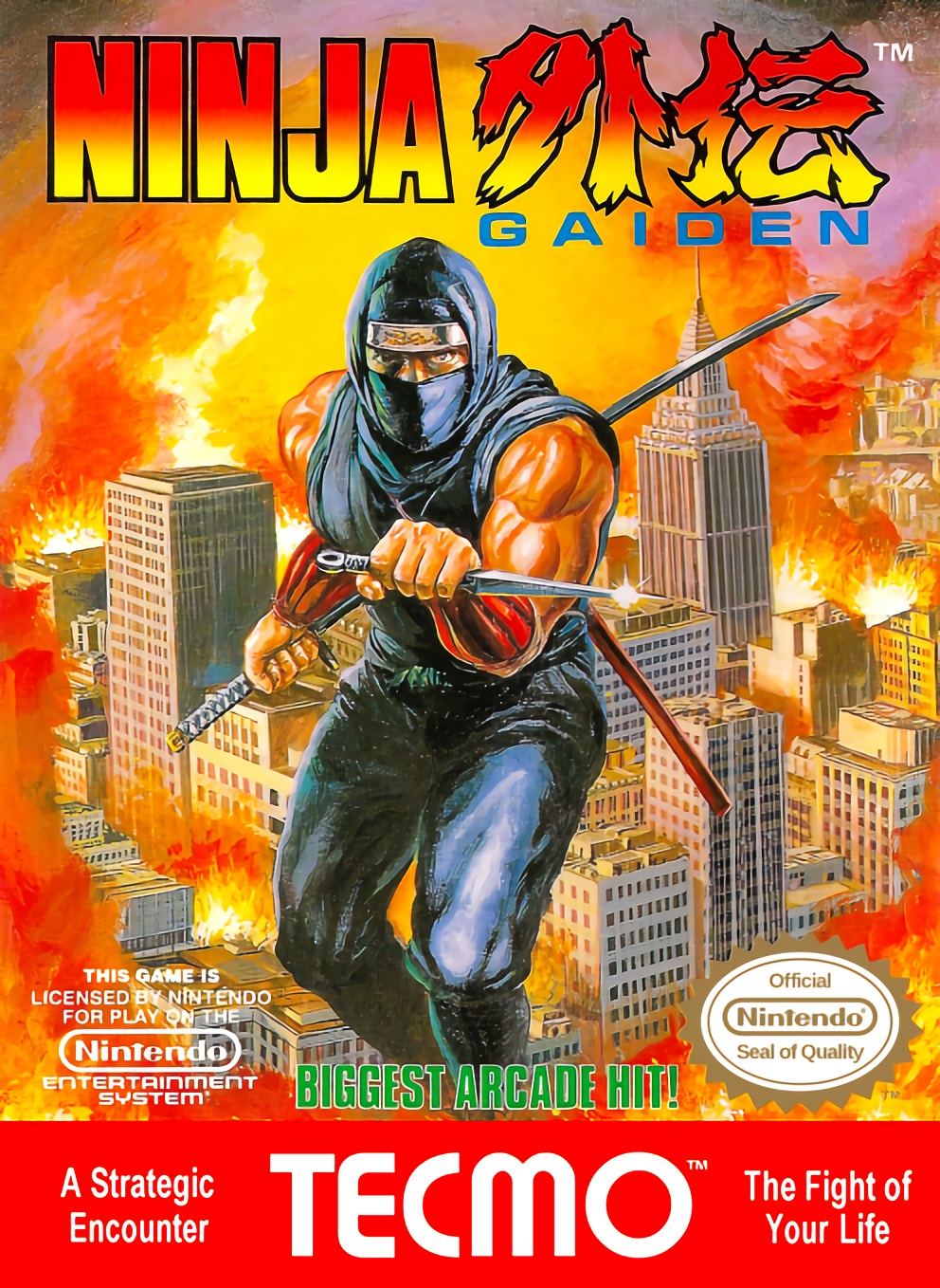 Ninja Gaiden Ninja Gaiden
