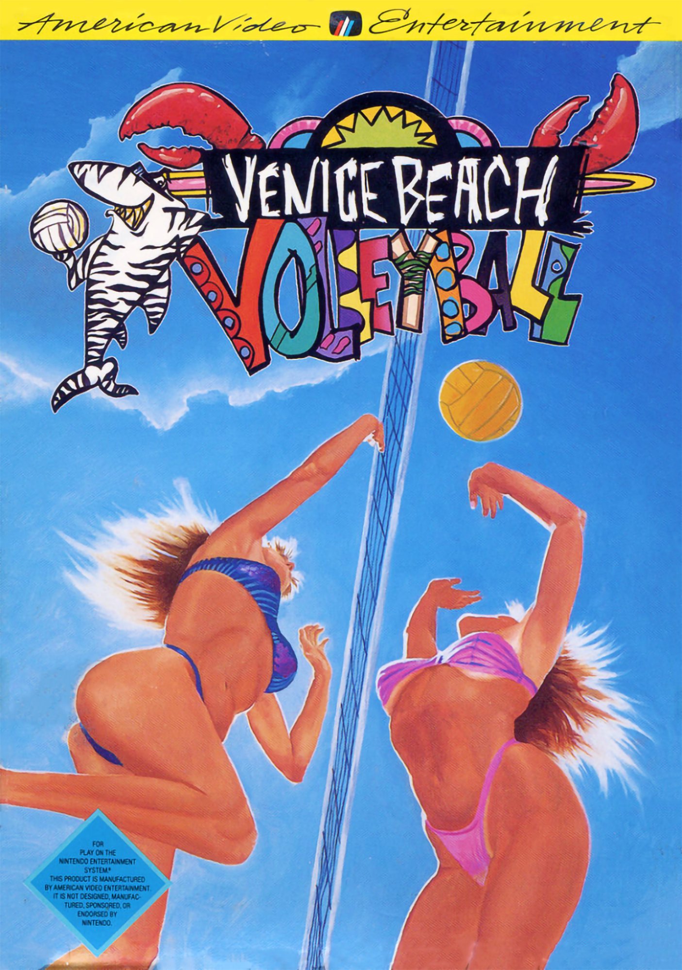 Venice Beach Volleyball Venice Beach Volleyball