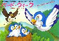 Bird Week