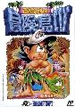 Takahashi Meijin no Bouken Jima IV