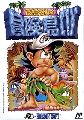 Takahashi Meijin no Bouken Jima IV