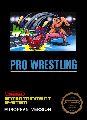 Pro Wrestling