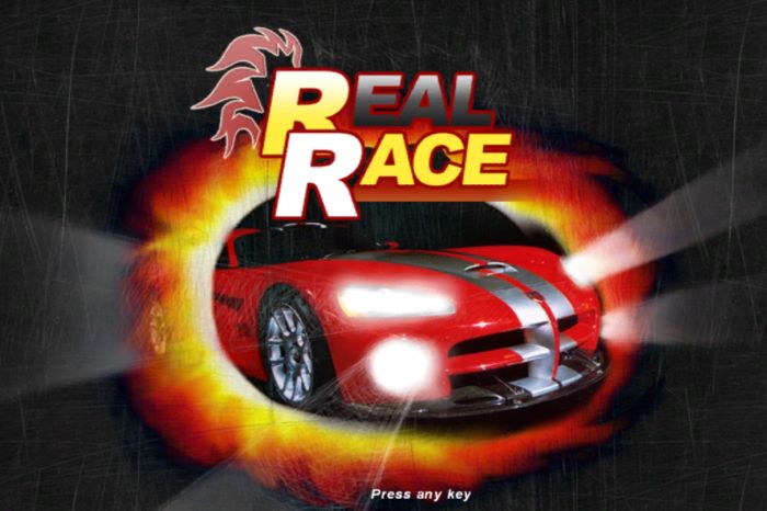 Real Race Real Race