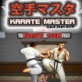 Karate Master Knock Down Blow