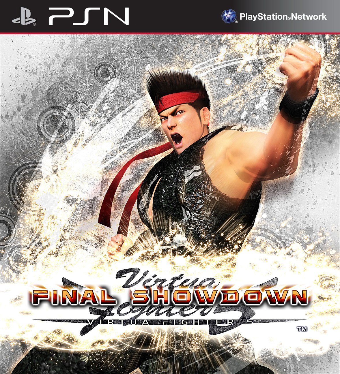 Virtua Fighter 5: Final Showdown