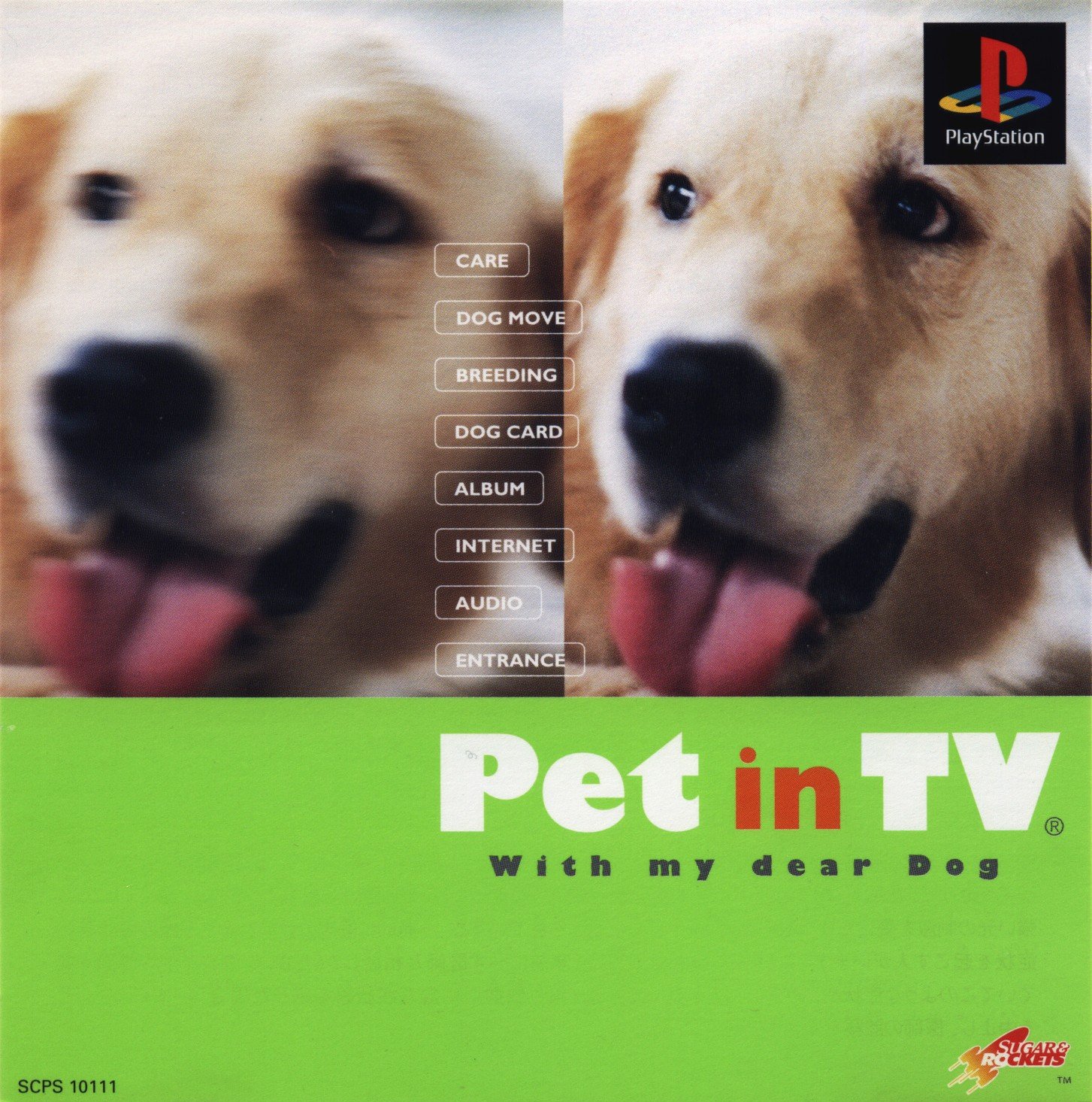 Pet in TV: With My Dear Dog Pet in TV: With My Dear Dog