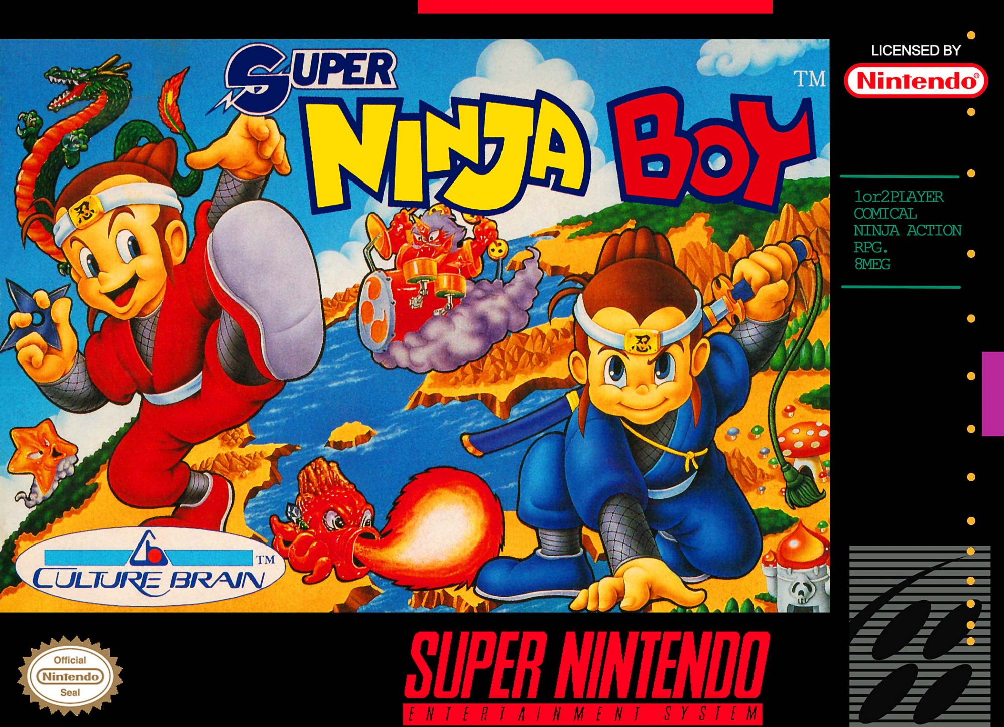 Super Ninja Boy