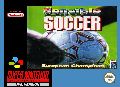 Sensible Soccer: International Edition