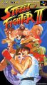 Street Fighter II: The World Warrior