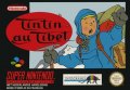 Tintin in Tibet