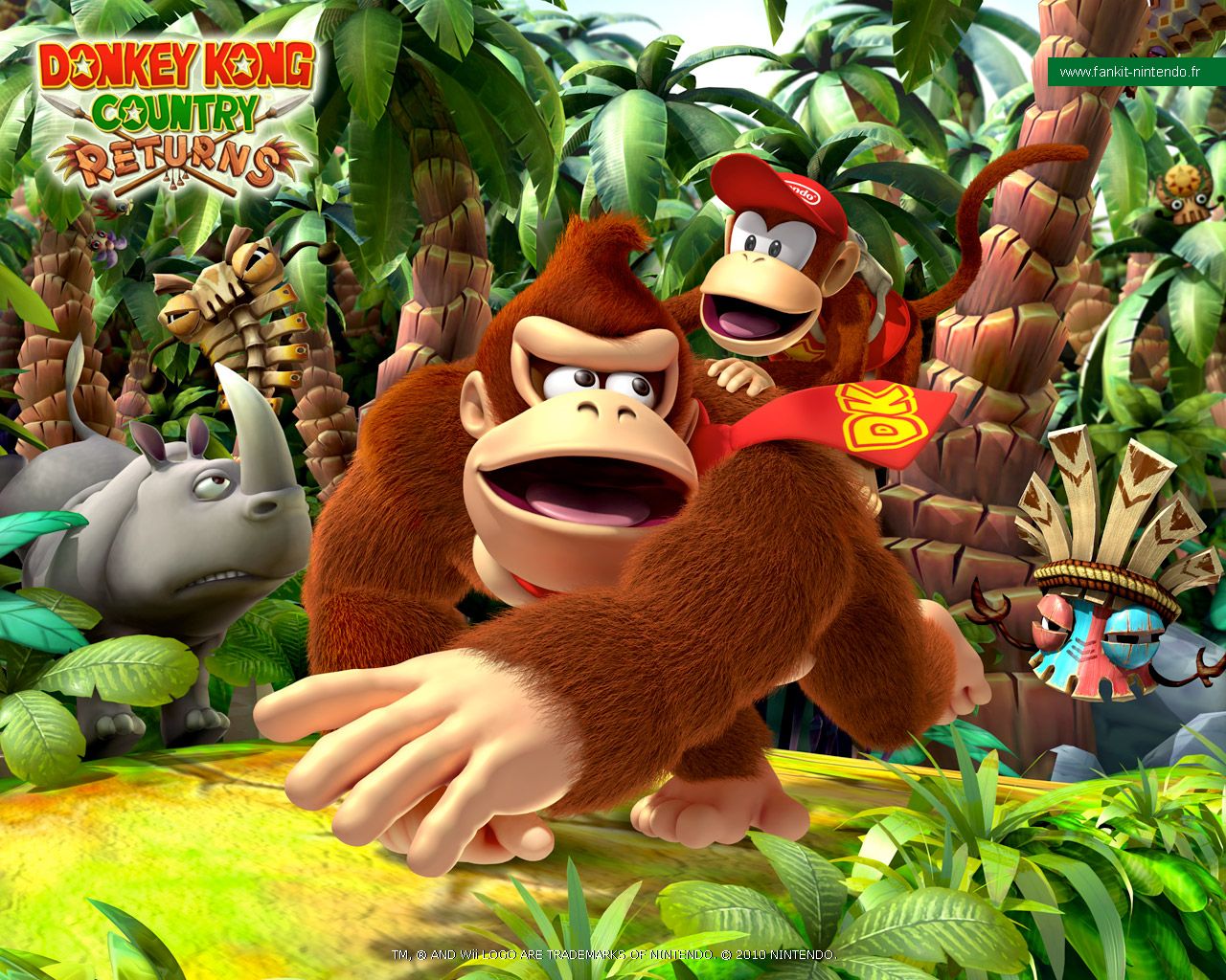 03843220-photo-donkey-kong-country-returns.jpg