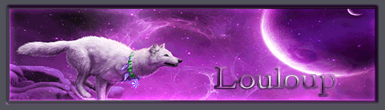 1417965331-louloup.gif