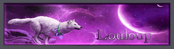 1417965843-louloup.gif