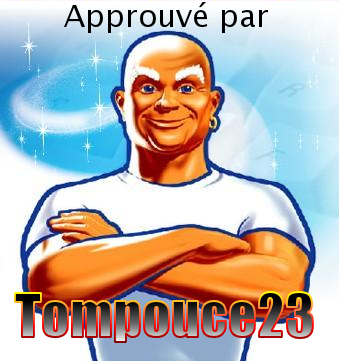 1421513464-monsieur-propre2.png