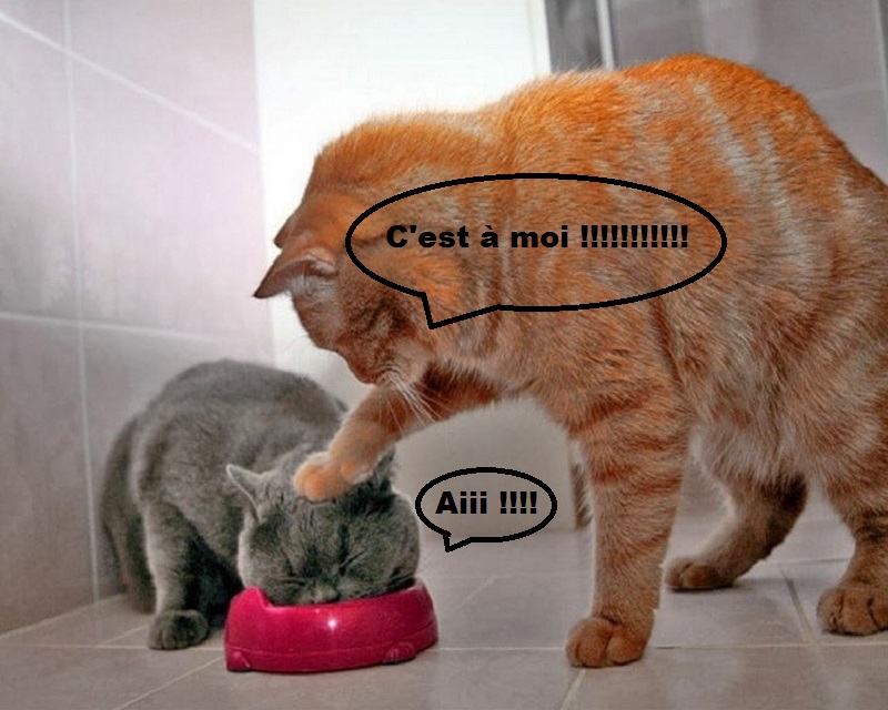1477333358-maxresdefault.jpg