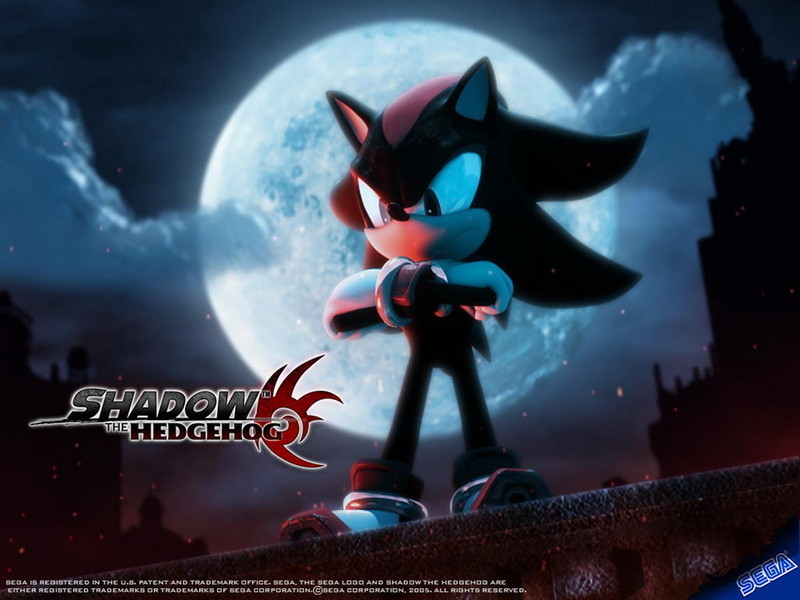 16114360982742_shadowthehedgehogshadowthehedgehog10006105800600.jpg