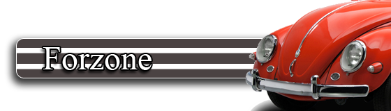 228437Forzone.png