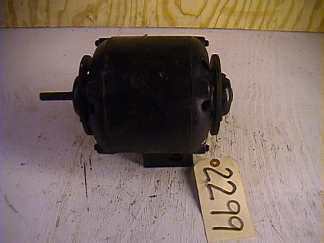 2299.jpg